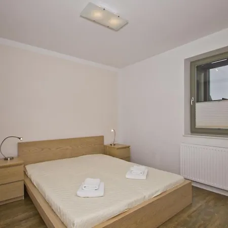 Distelfink 04 Groß Zicker