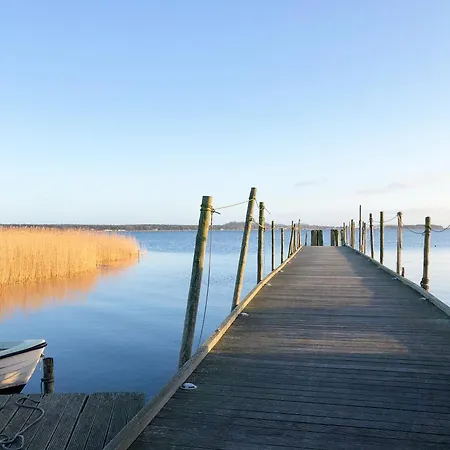 Distelfink 04 Apartament