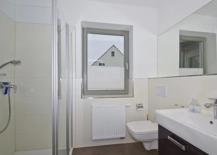 Distelfink 04 Groß Zicker